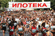 �������� ����� 